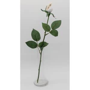 17th Anniversary Just Shell Roses