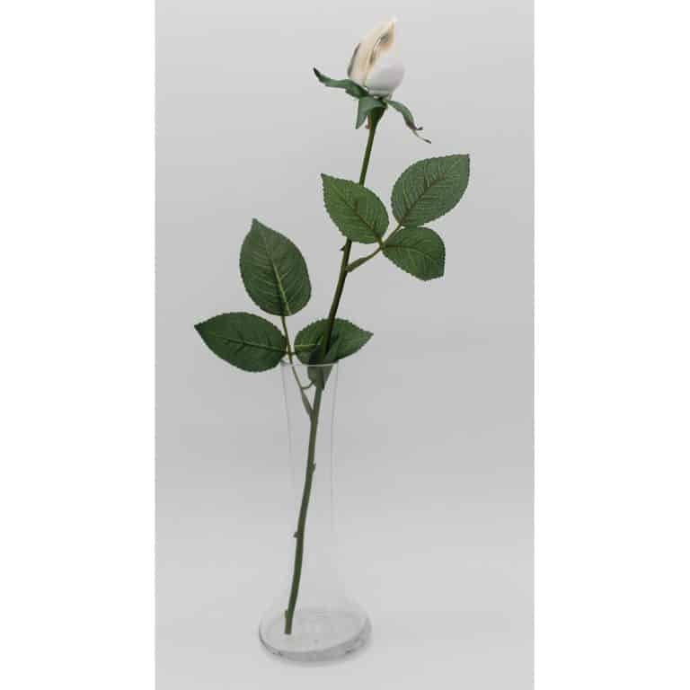 17th Anniversary Just Shell Roses