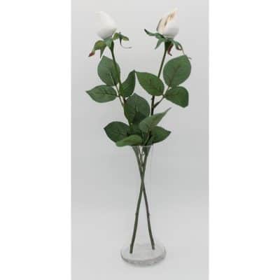 17th Anniversary Just Shell Roses