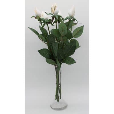 17th Anniversary Just Shell Roses